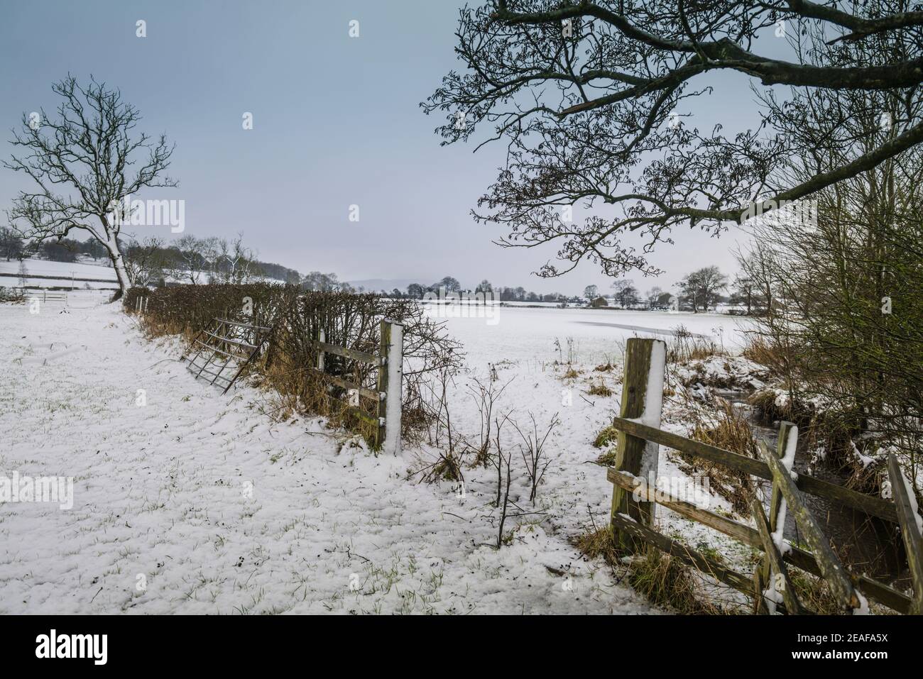 Clitheroe, Ribble Valley, Lancashire, Royaume-Uni. Banque D'Images