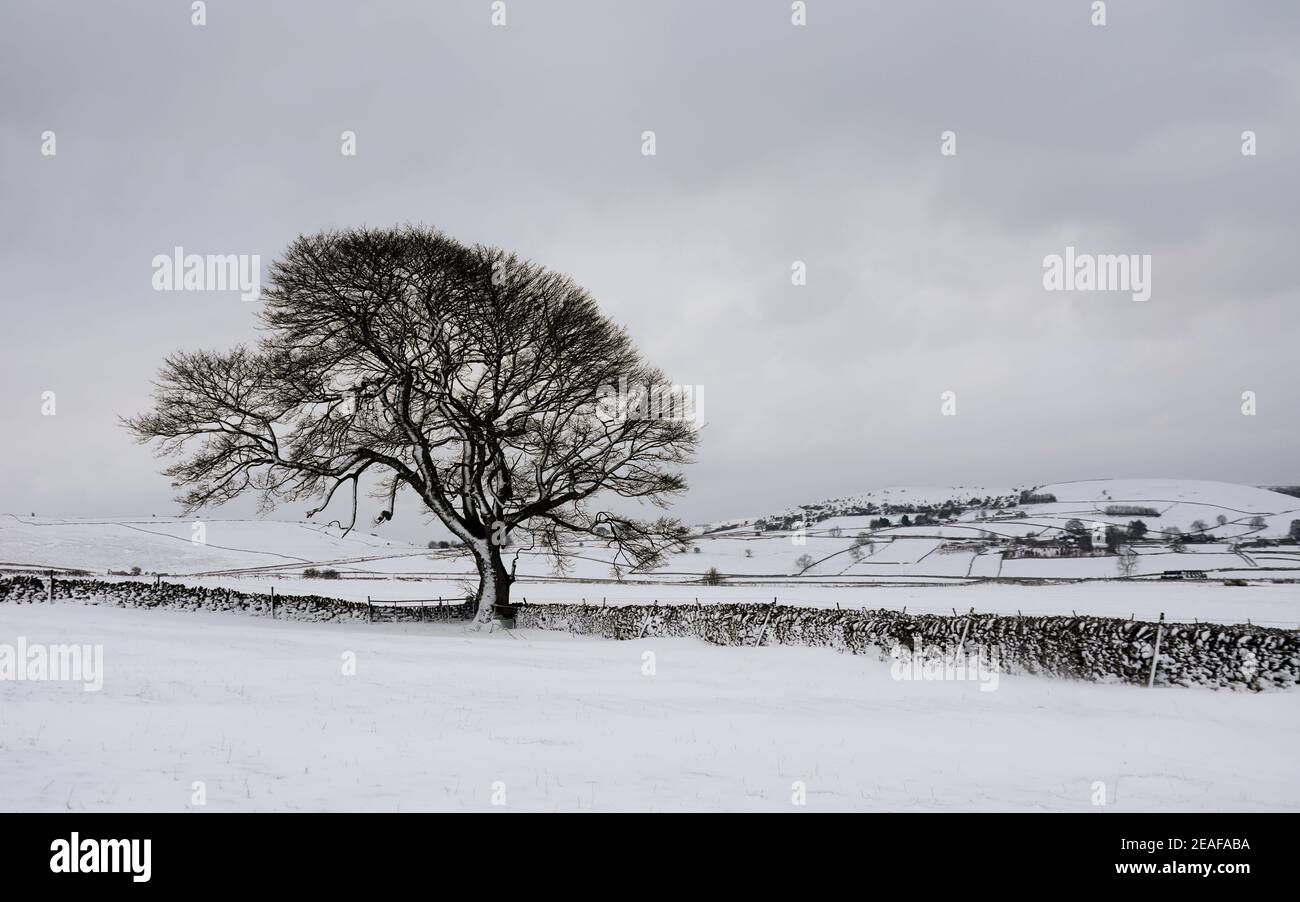 Paysage d'hiver à Wardlow près de Tideswell dans le Derbyshire Peak Parc national du district Banque D'Images