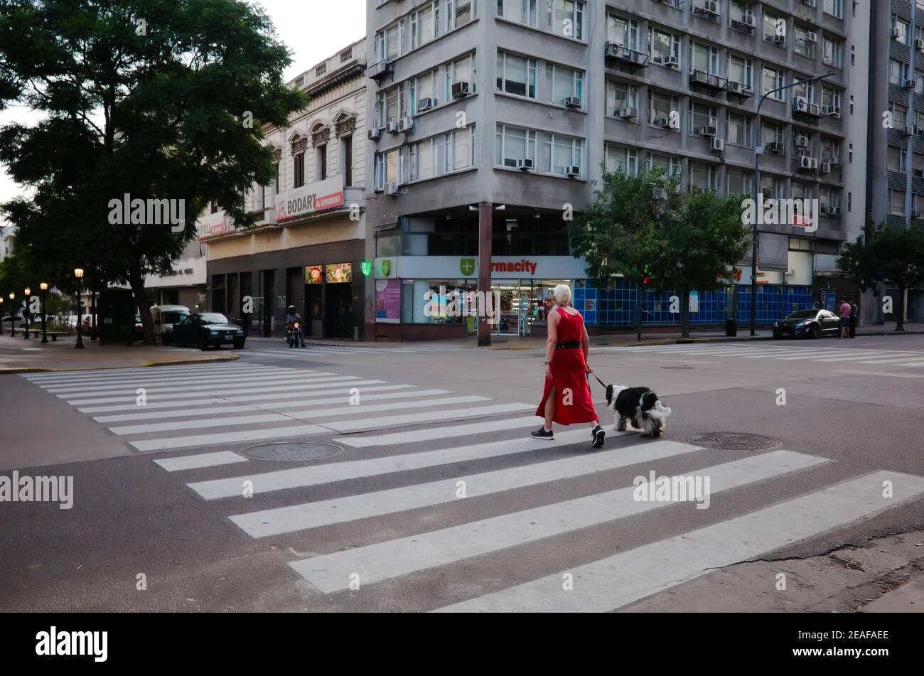 Buenos Aires, Argentine - janvier, 2020: Femme avec grand chien traversant la rue sur la traversée piétonne à Buenos Aires Banque D'Images
