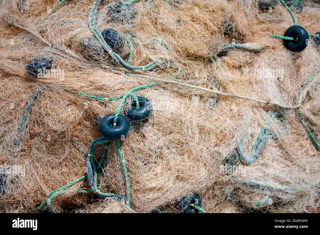 Filet de pêche Banque D'Images