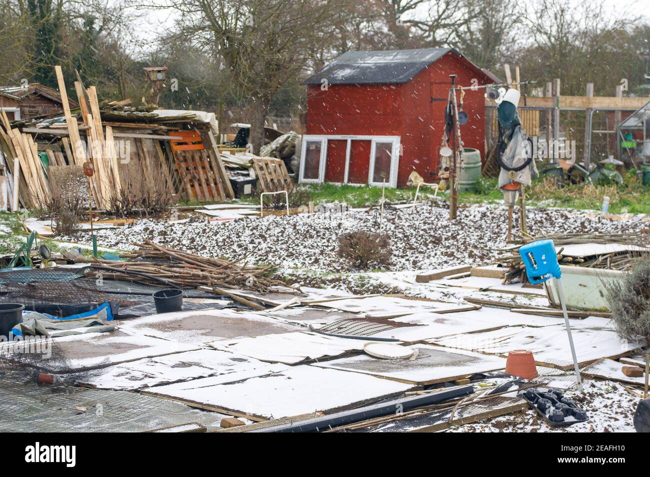 Eton Wick, Windsor, Berkshire, Royaume-Uni. 9 février 2021. Il y a eu une légère dépoussiérage de neige cet après-midi au-dessus des allotissements d'Eton Wick, mais tous les producteurs de légumes ont été cachés dans le chaud à la maison car la température est restée inférieure à zéro toute la journée. Les températures plus tard cette semaine devraient être les plus froides en 10 ans. Crédit : Maureen McLean/Alay Live News Banque D'Images