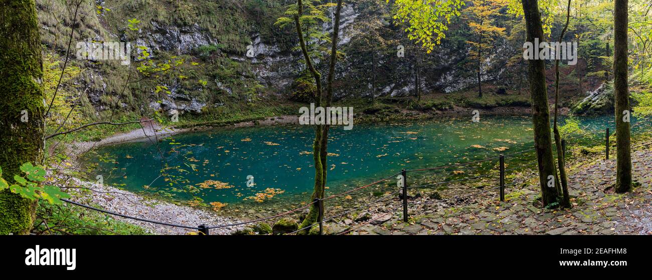 Divje Jezero près d'Idrija, lac sauvage, Slovénie Banque D'Images