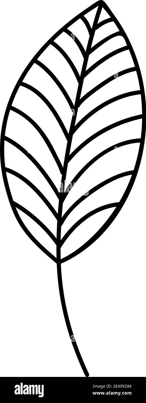 Icône de ligne vectorielle Spring Leaf Outline. Doodle Spring concept minimaliste style Illustration pour la conception de livre pour enfants ou web. Élément du logo de l'arbre Illustration de Vecteur