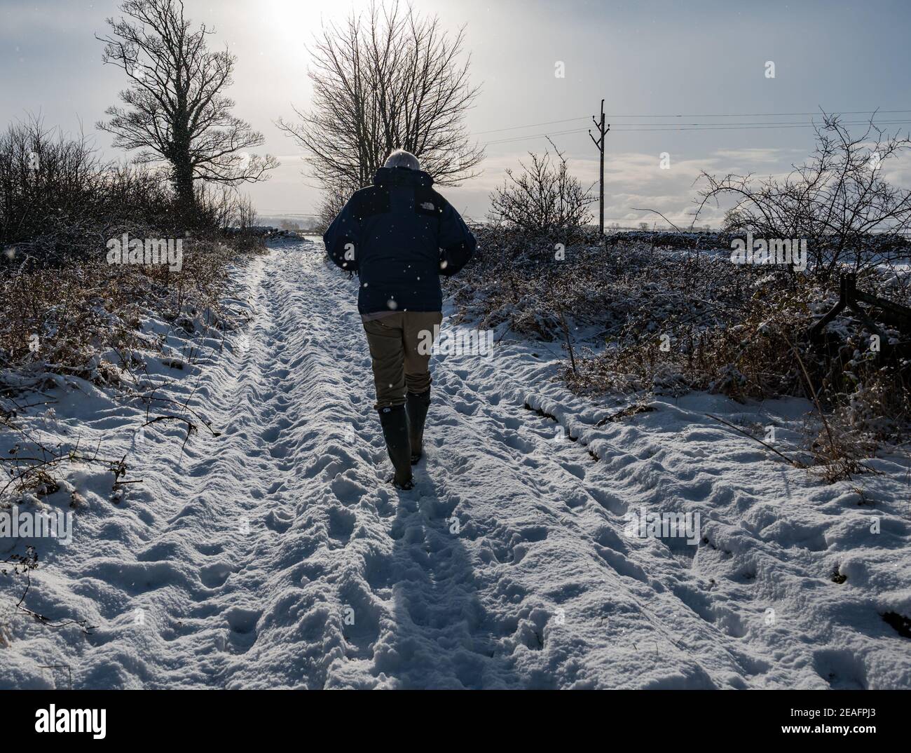 East Lothian, Écosse, Royaume-Uni, 9 février 2021. Météo au Royaume-Uni : conditions de neige. Un homme marche le long d'un sentier rural couvert de neige tandis que la neige tombe en hiver Banque D'Images