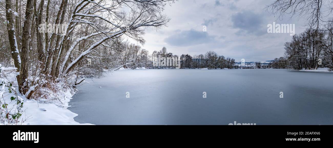 Paysage d'hiver. Lac gelé et arbres Banque D'Images