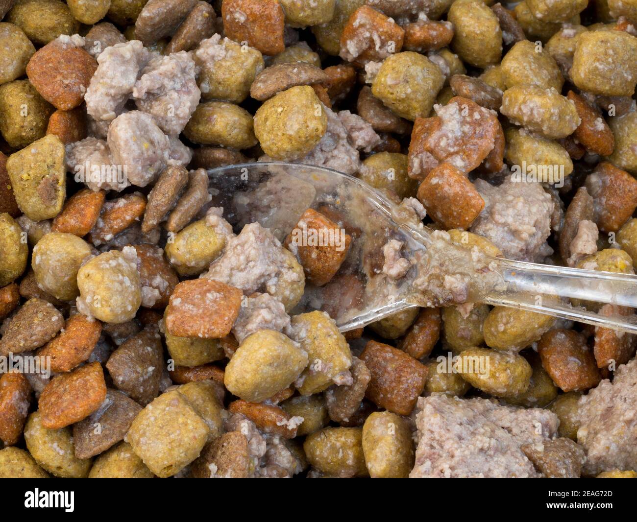 Vue de dessus de nourriture sèche pour chiens avec des aliments en conserve pour chiens mélangés avec une cuillère. Banque D'Images