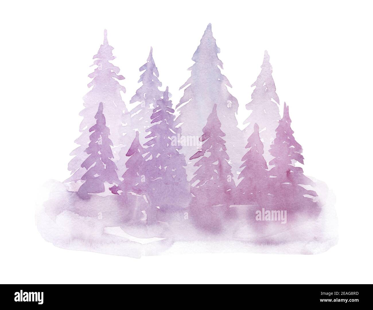 Hiver aquarelle sapins violets dans le brouillard. Dessin à la main Banque D'Images