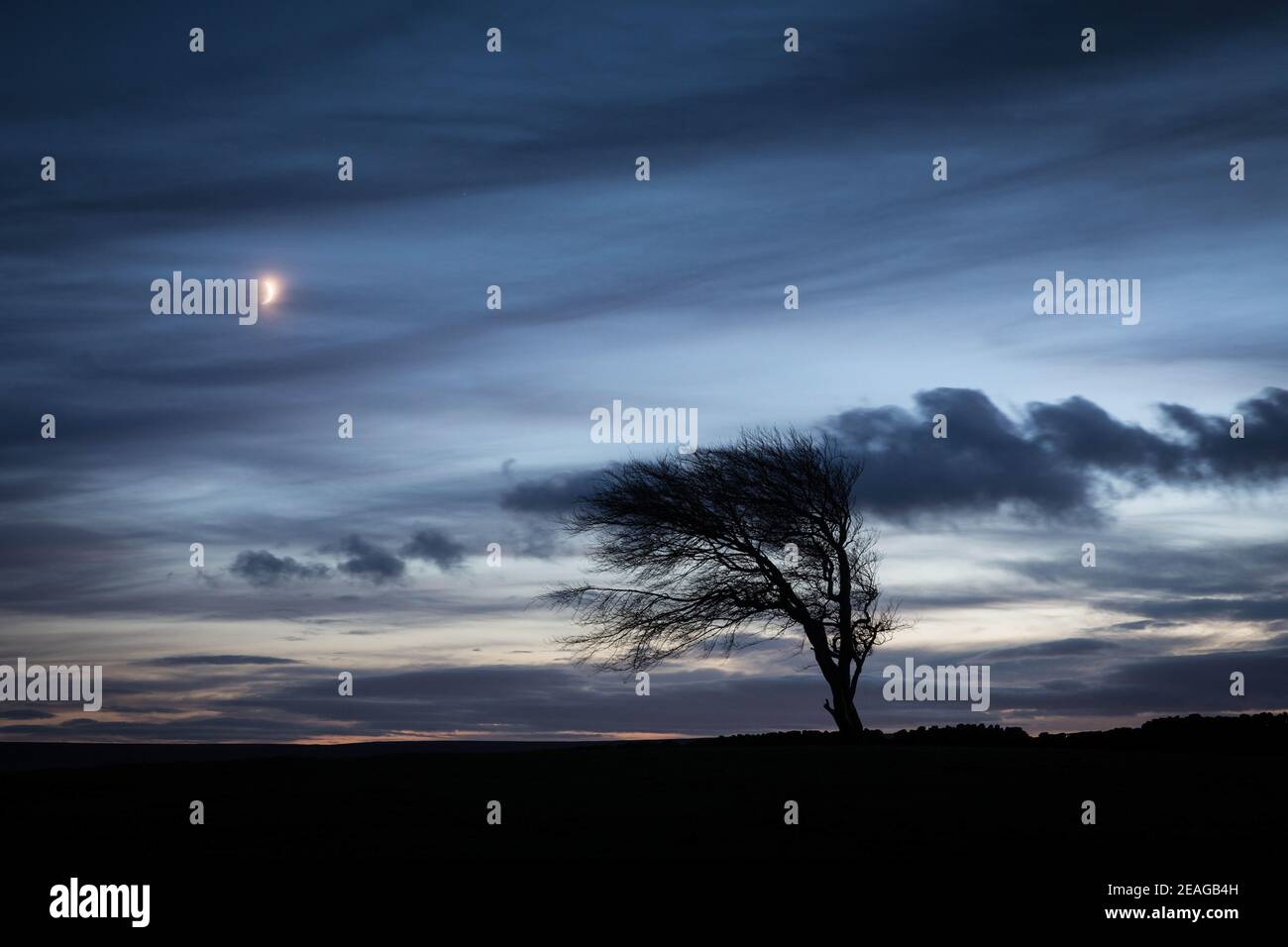 La nuit tombe sur les landes. Banque D'Images