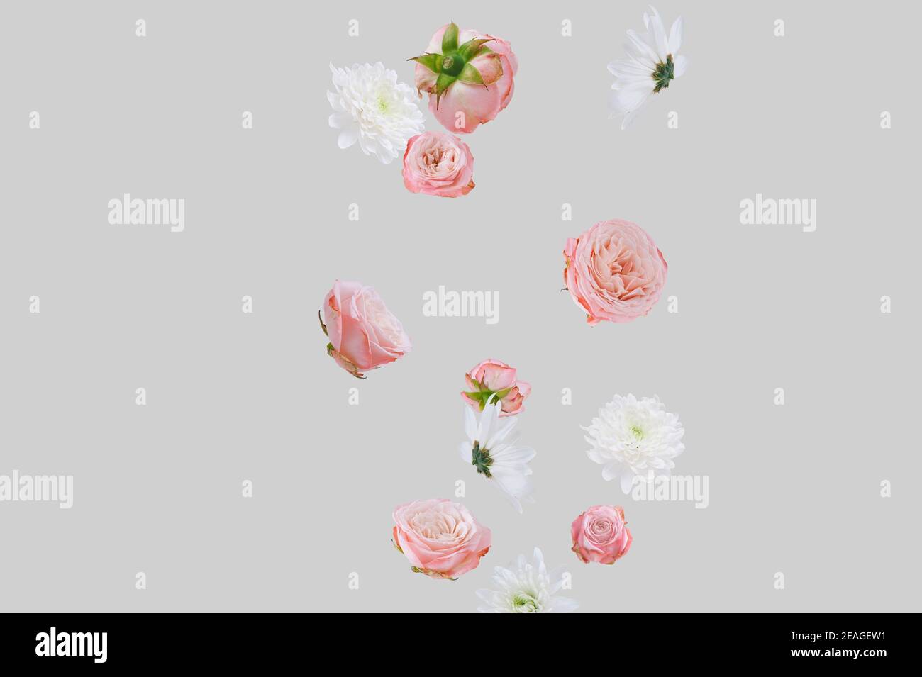 Composition créative composée de fleurs fleuries d'été sur fond beige pastel. Concept de nature minimal. Banque D'Images