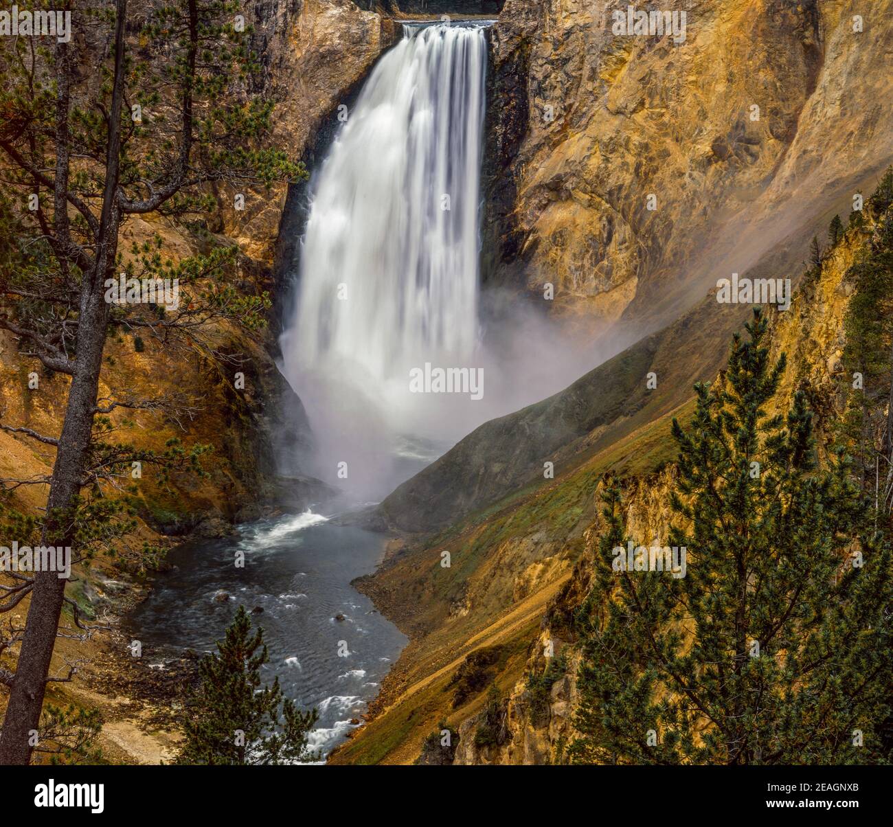 Chutes de Yellowstone, le Parc National de Yellowstone, Wyoming Banque D'Images