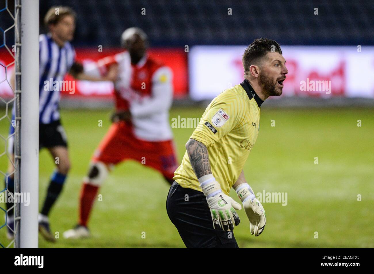 Sheffield, Royaume-Uni. 09e février 2021. Keiren Westwood #1 de Sheffield mercredi en action pendant le match à Sheffield, Royaume-Uni le 2/9/2021. (Photo de Dean Williams/News Images/Sipa USA) crédit: SIPA USA/Alay Live News Banque D'Images