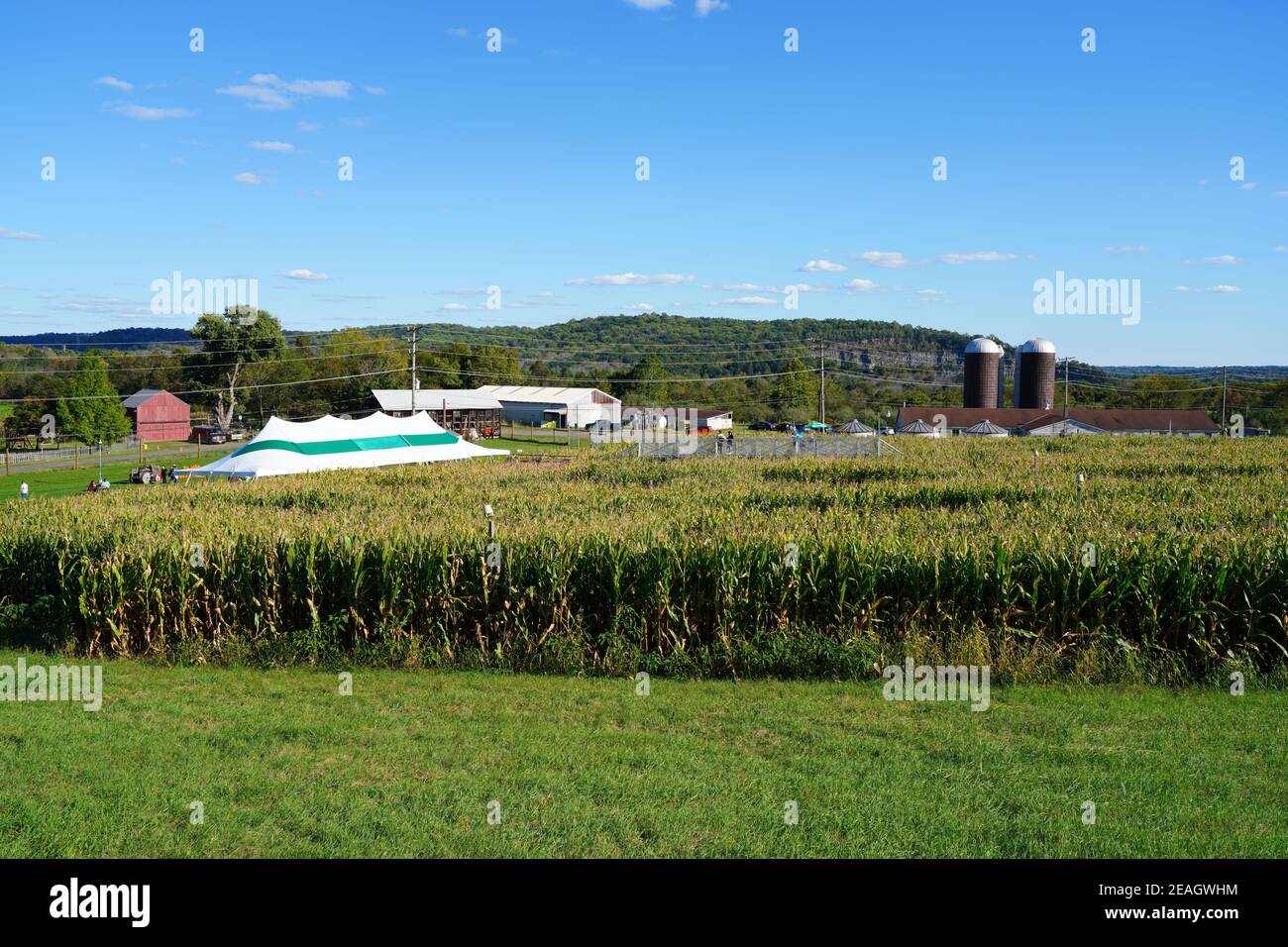 LAMBERTVILLE, NJ –3 OCT 2020- vue de la Maze de maïs de Howell Farm, le plus long labyrinthe de maïs courant au New Jersey à l'automne. Banque D'Images