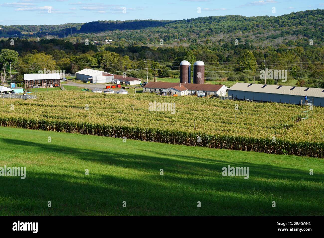 LAMBERTVILLE, NJ –3 OCT 2020- vue de la Maze de maïs de Howell Farm, le plus long labyrinthe de maïs courant au New Jersey à l'automne. Banque D'Images