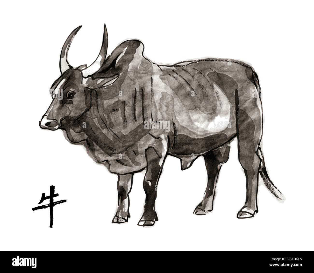 Zébi taureau, illustration du vecteur sumi-e. Peinture à l'encre orientale . Symbole de la nouvelle année orientale de l'Ox. Illustration de Vecteur