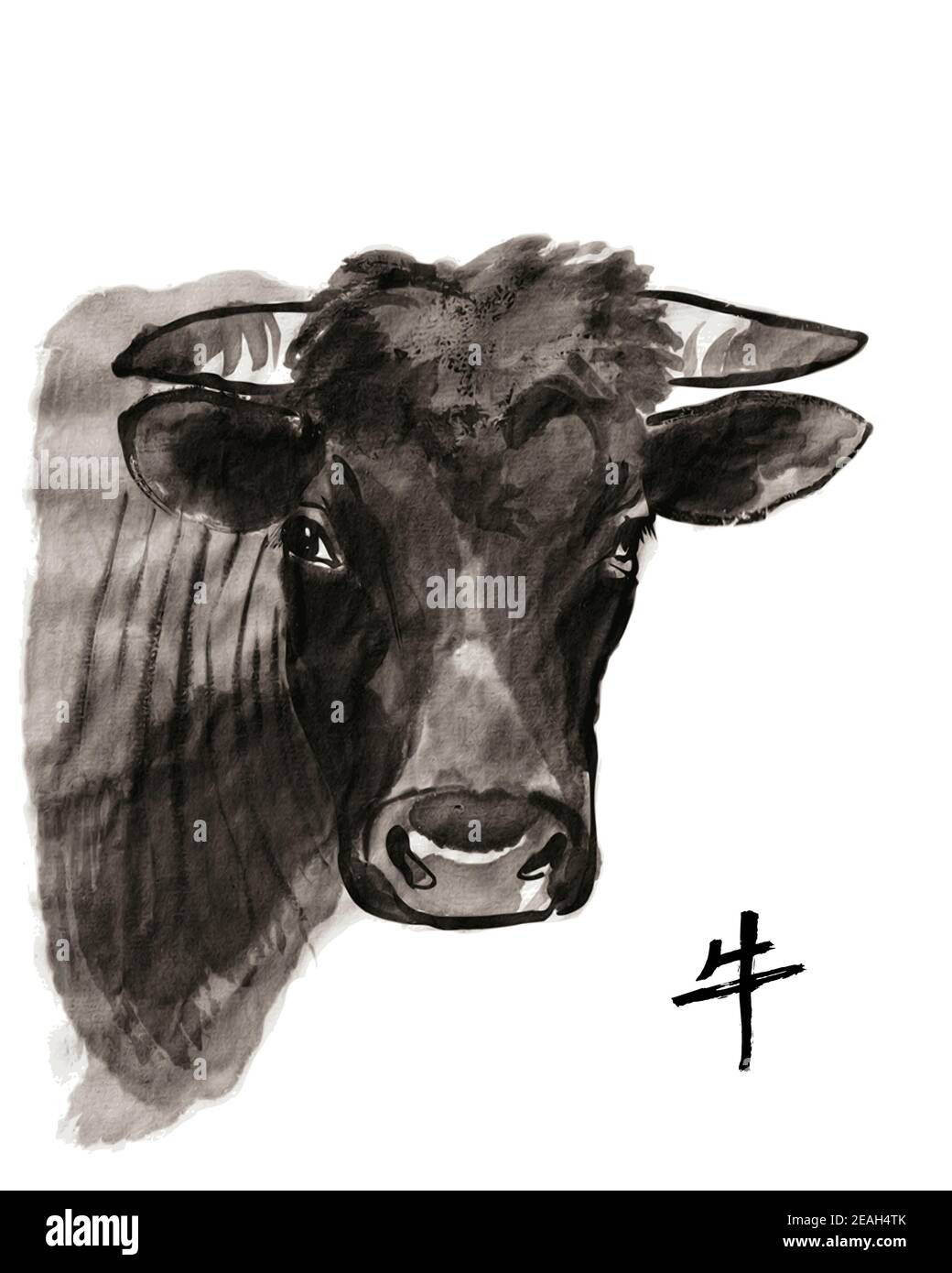 Portrait en forme de taureau, illustration vectorielle sumi-e. Peinture à l'encre orientale . Symbole de la nouvelle année orientale de l'Ox. Illustration de Vecteur