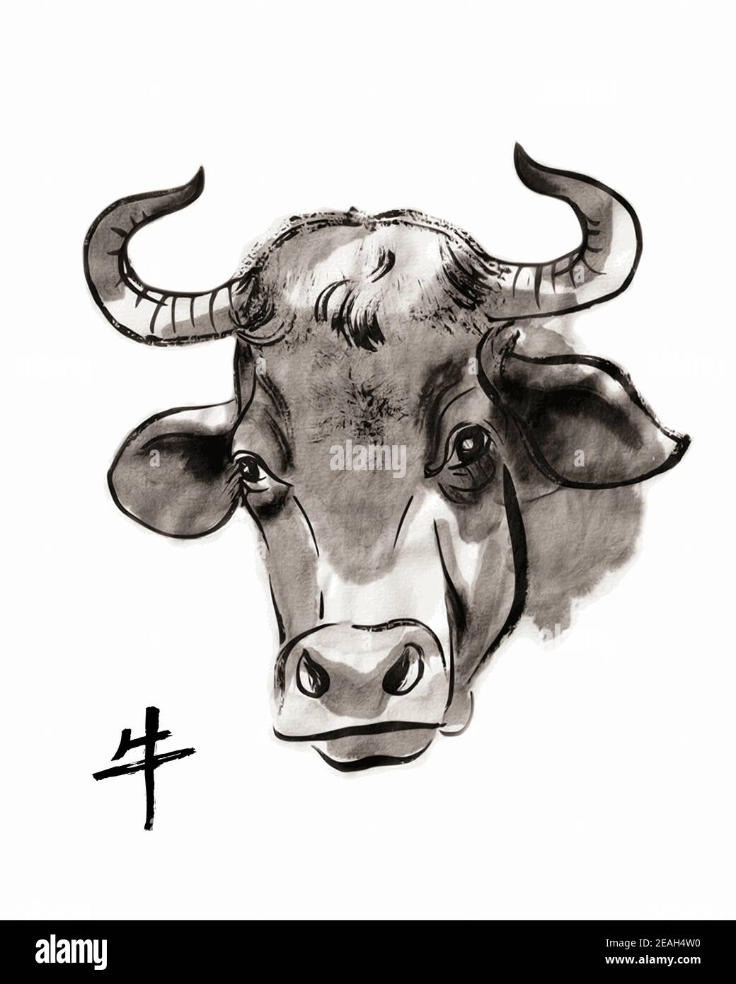 Portrait de vache, illustration vectorielle sumi-e. Peinture à l'encre orientale . Symbole de la nouvelle année orientale de l'Ox. Illustration de Vecteur