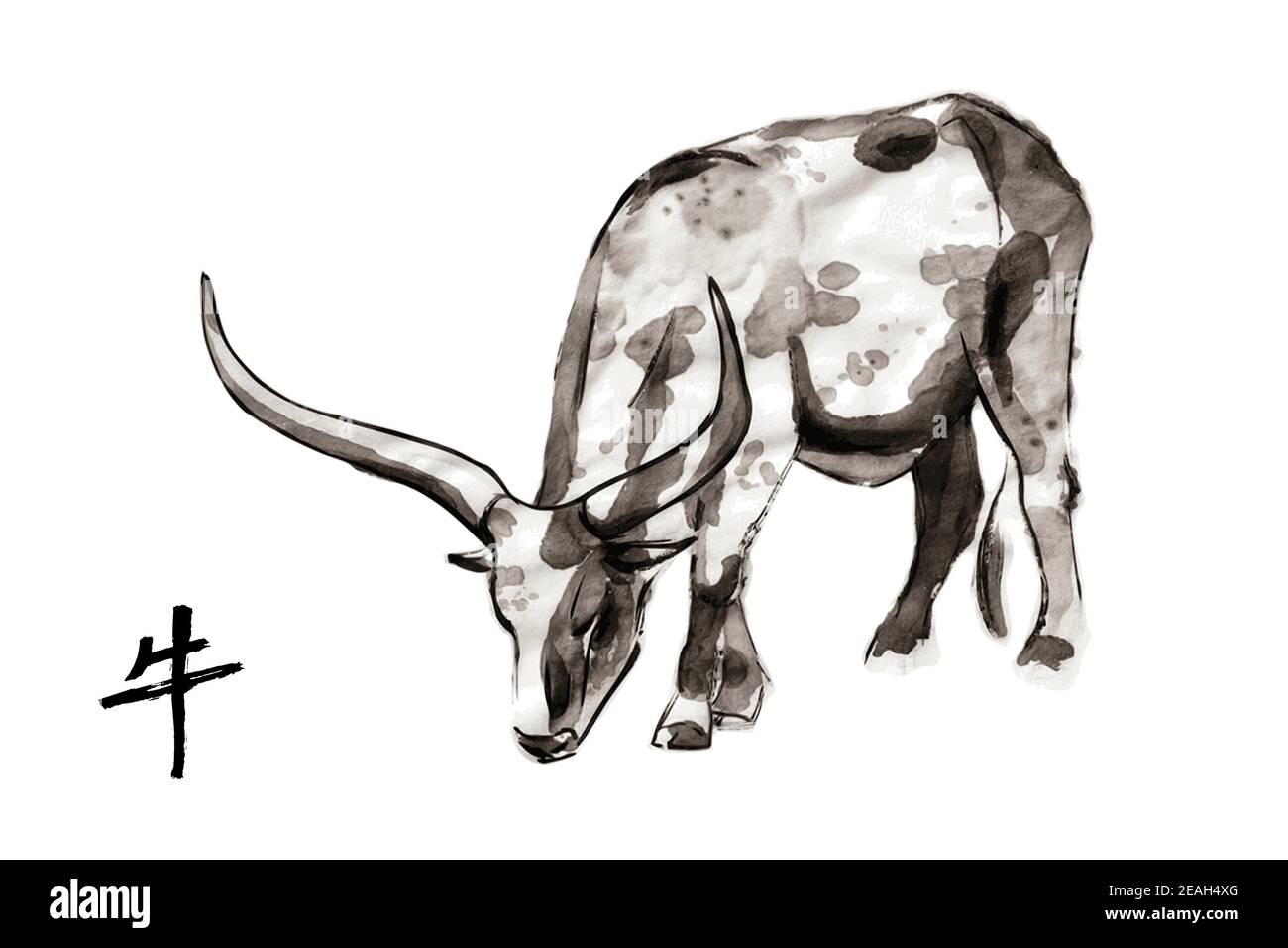 Pâturage de la vache Sanga, illustration du vecteur sumi-e. Peinture à l'encre orientale . Symbole de la nouvelle année orientale de l'Ox. Illustration de Vecteur