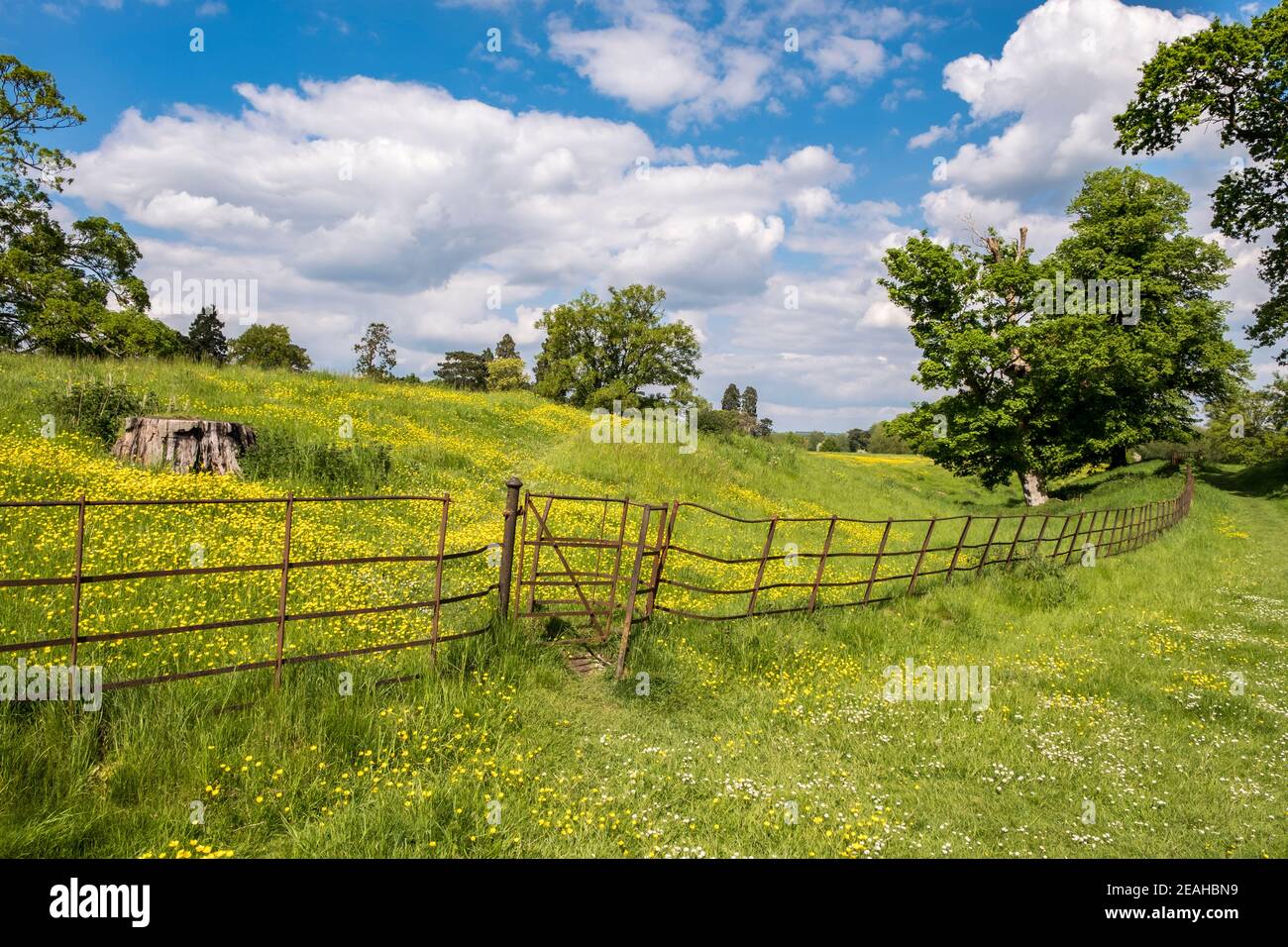 Wallingford Castle Meadows, (parc du château de Wallingford) Wallingford, Oxfordshire, Angleterre du Sud-est, GB, Royaume-Uni Banque D'Images