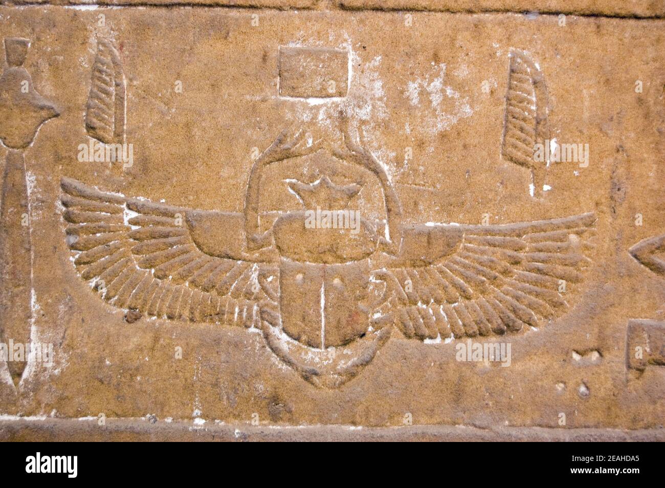 Tout sur L'Egypte Ancienne: Le Scarabé Egyptien