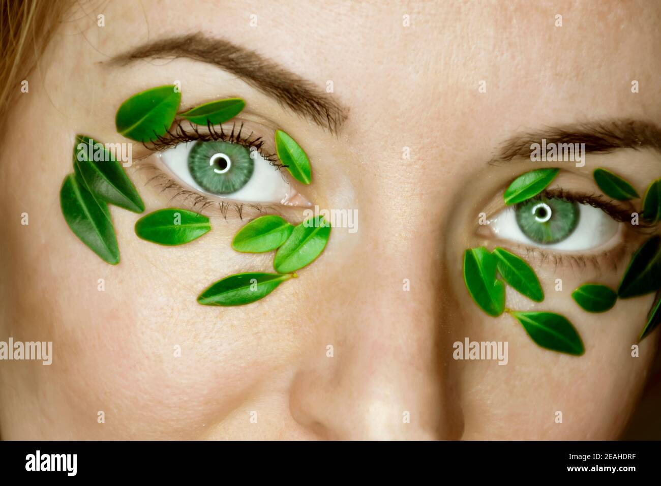 Gros plan des yeux de la jeune femme avec patch de feuilles de buis. Bannière de modèle de spa et de bien-être pour le design. Banque D'Images