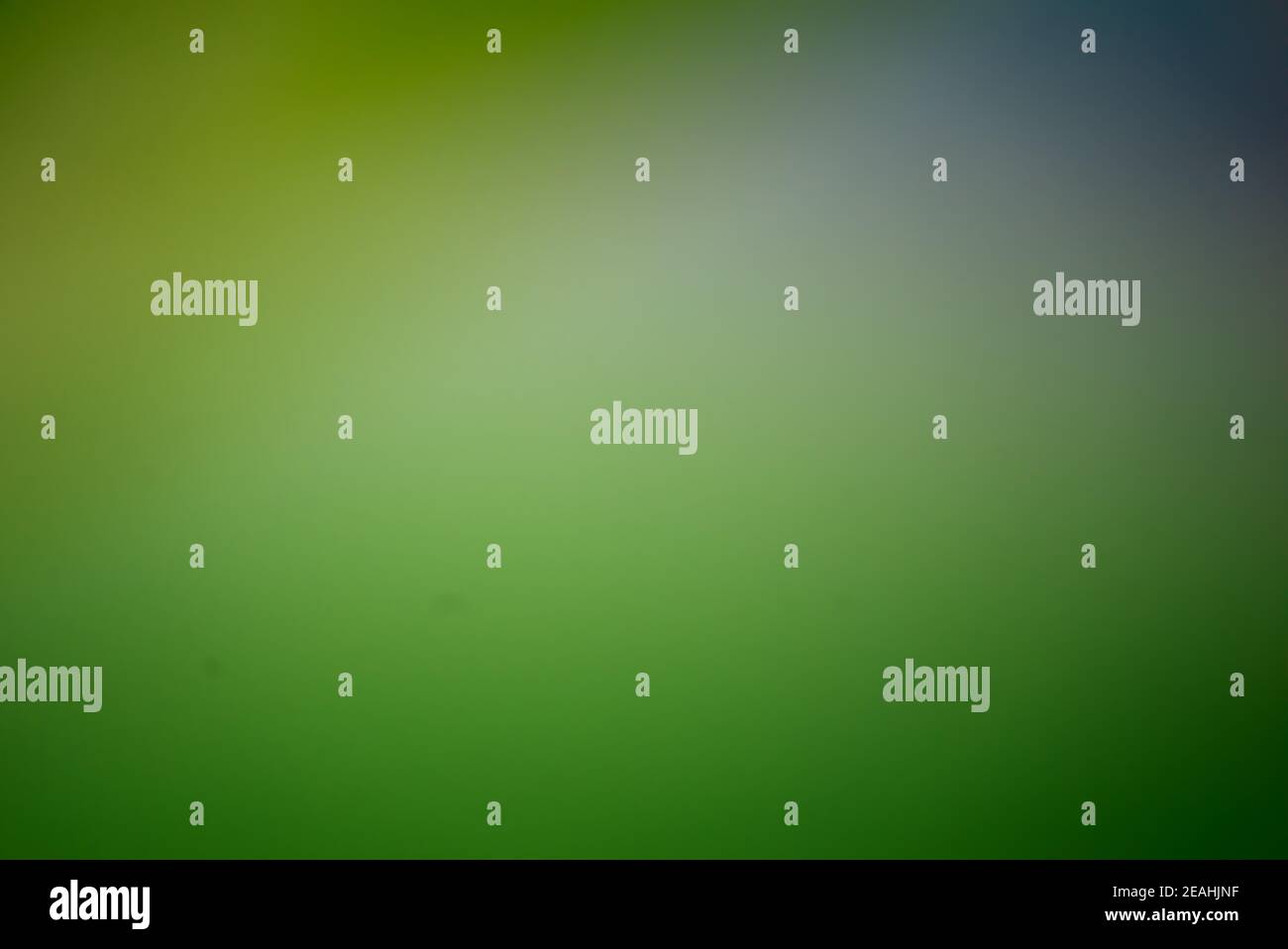 Couleur Degrade Vert Fonce Et Bleu Arriere Plan De Texture Abstraite Espace Pour L Affichage De Texte De Mot Ou De Produit Les Superpositions Les Mises A Plat Photo Stock Alamy