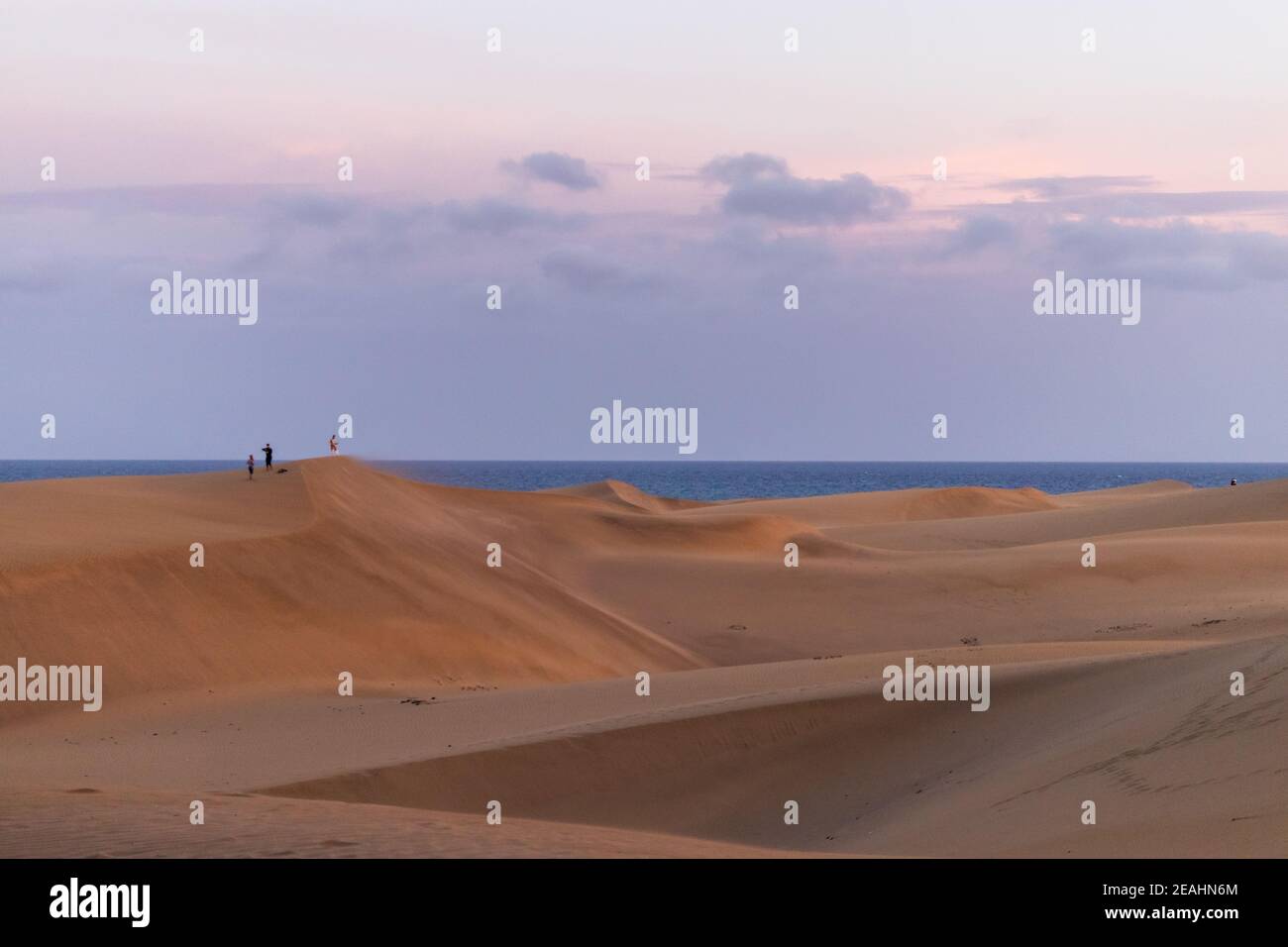 Gran Canaria, Espagne. 5 octobre 2020. Les dunes de Maspalomas au coucher du soleil avec l'océan bleu et le ciel violet en arrière-plan Banque D'Images