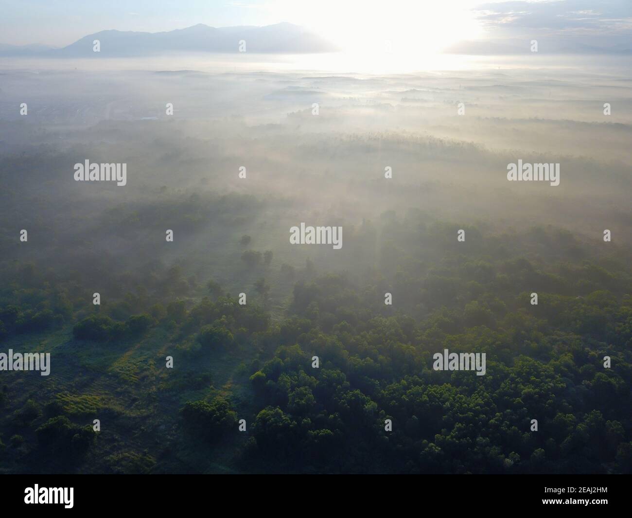 Nuage brumeux sur la forêt à Kedah, Malaisie Banque D'Images