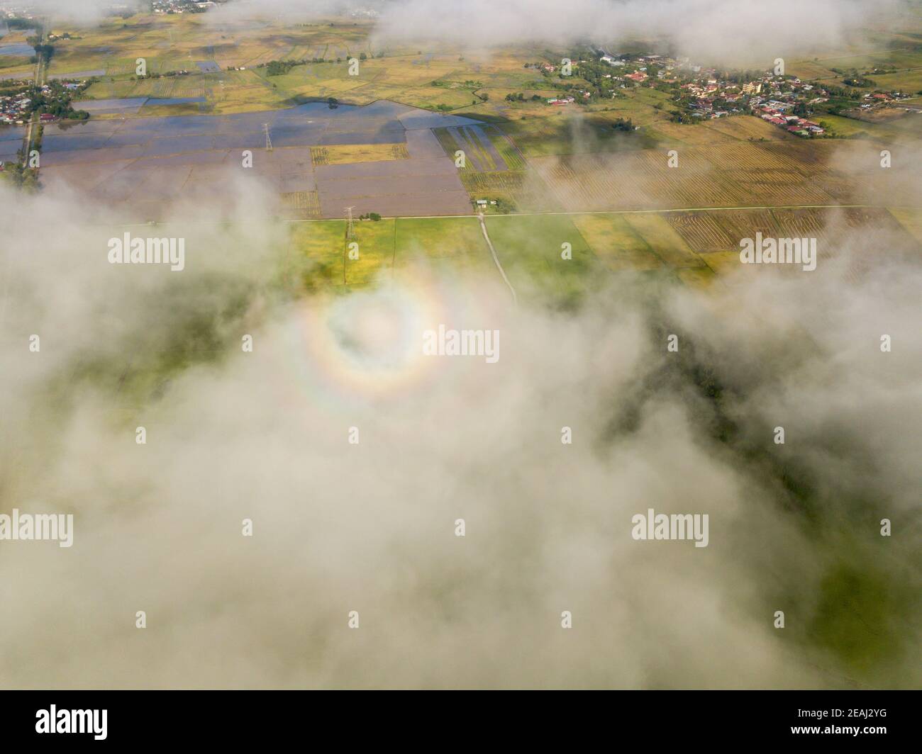 Halo arc-en-ciel sur le champ de nuages et de paddy Banque D'Images