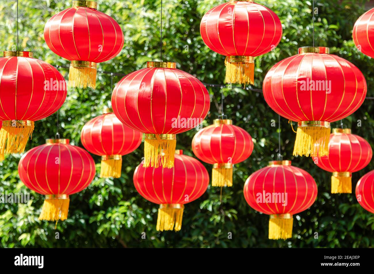 Lanterne décorée chinois nouvel an Banque D'Images