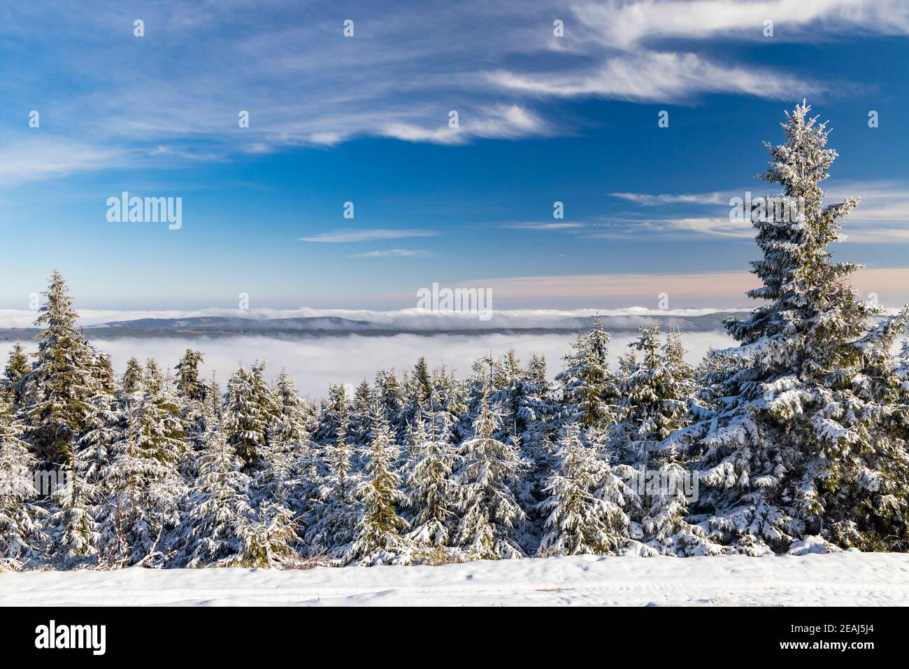 En hiver les montagnes Orlicke, République Tchèque Banque D'Images