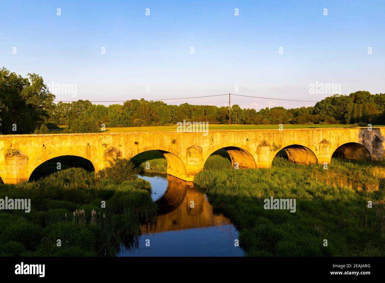 Ancien pont en pierre au-dessus de l'étang de Vitek près de Trebon, Bohême du Sud, République tchèque Banque D'Images