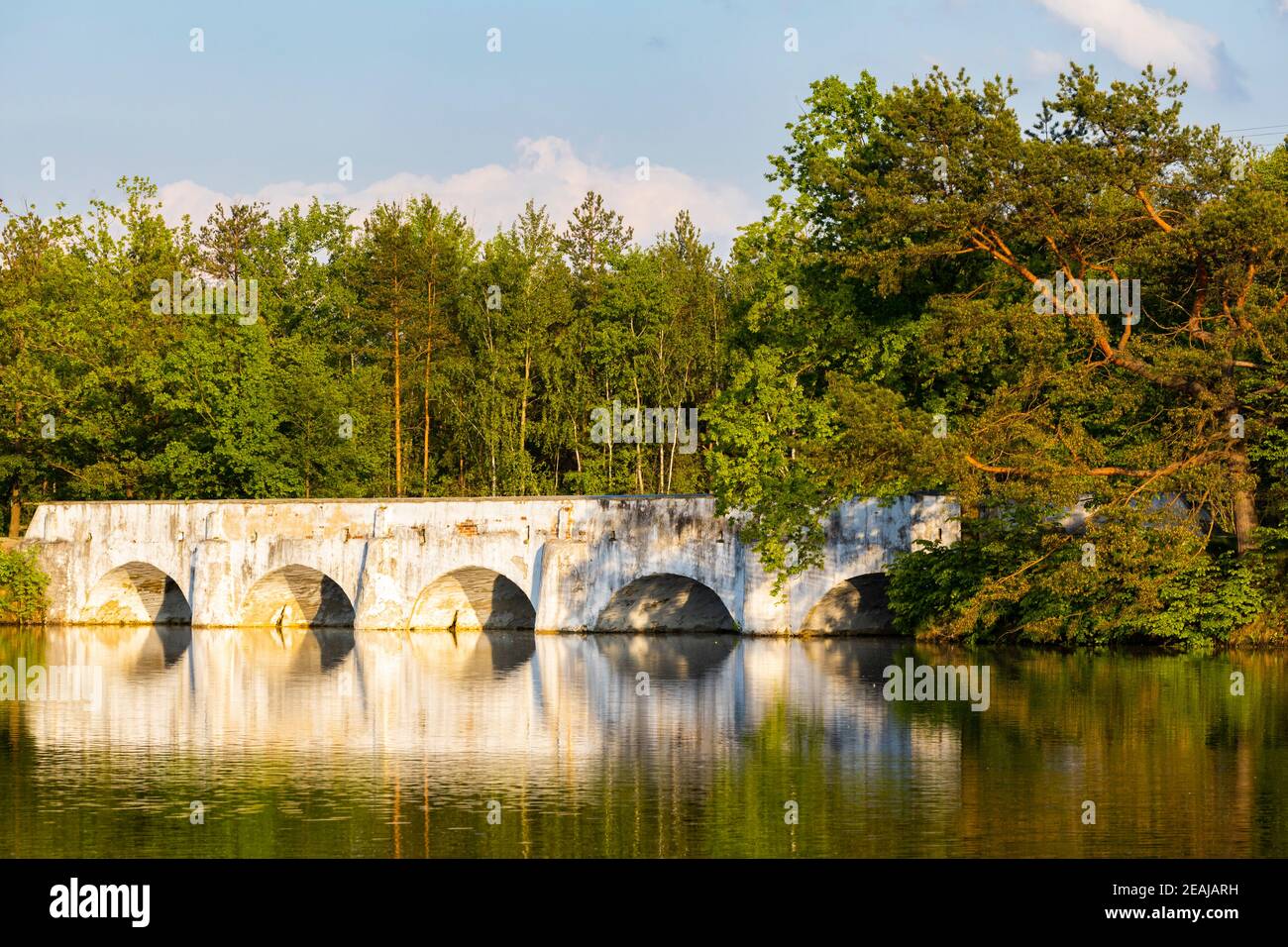 Ancien pont en pierre au-dessus de l'étang de Vitek, Nova Hlina près de Trebon, Jindrichuv Hradec, Bohême du Sud, République tchèque Banque D'Images