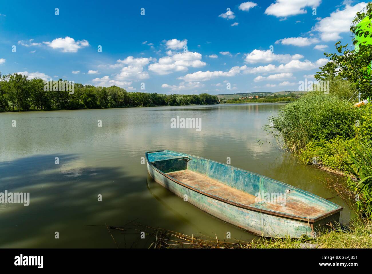 Puzdransky étang, Moravie du Sud, région de Palava, République Tchèque Banque D'Images