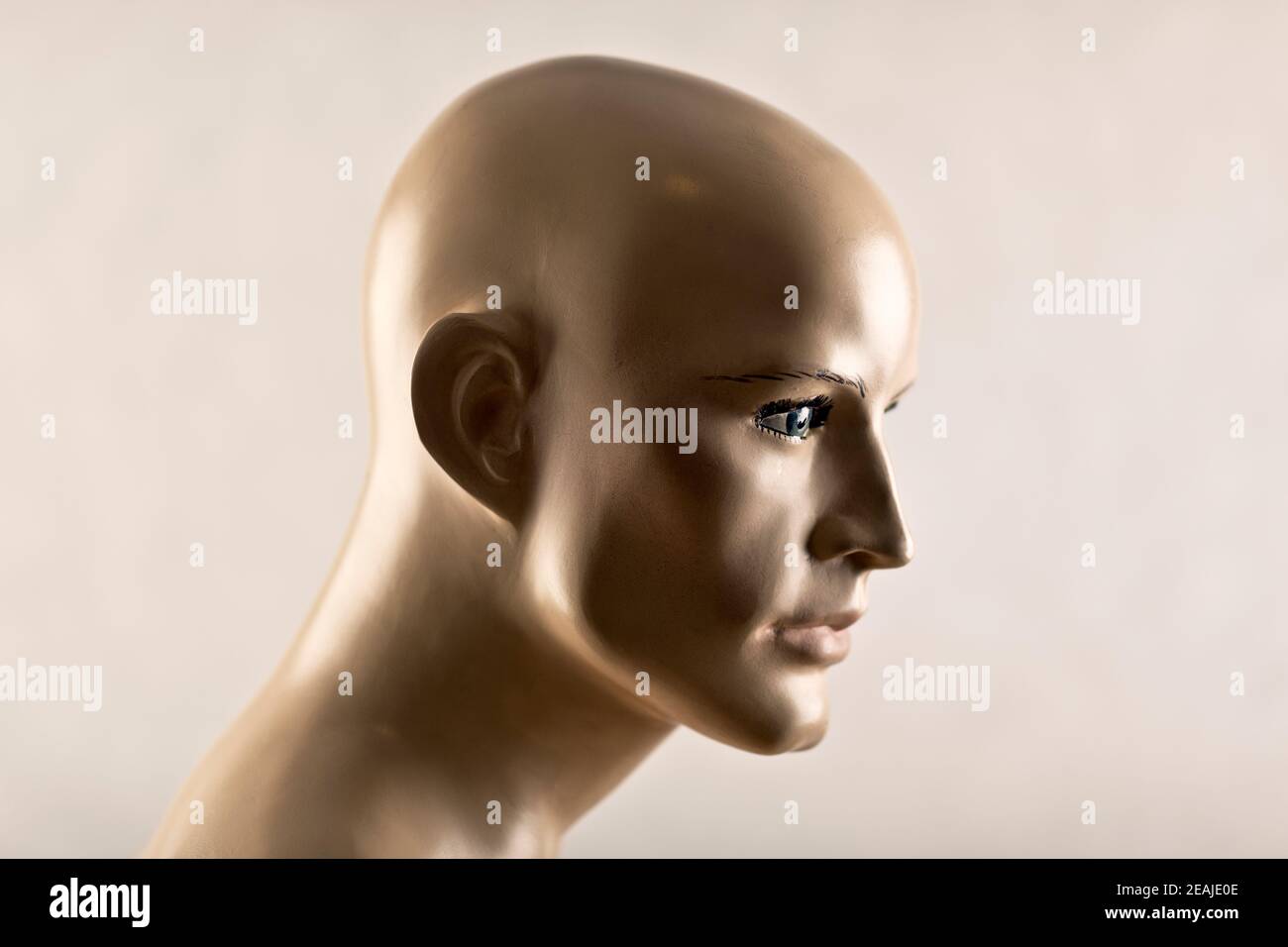 Portrait d'un vieux mannequin Banque D'Images