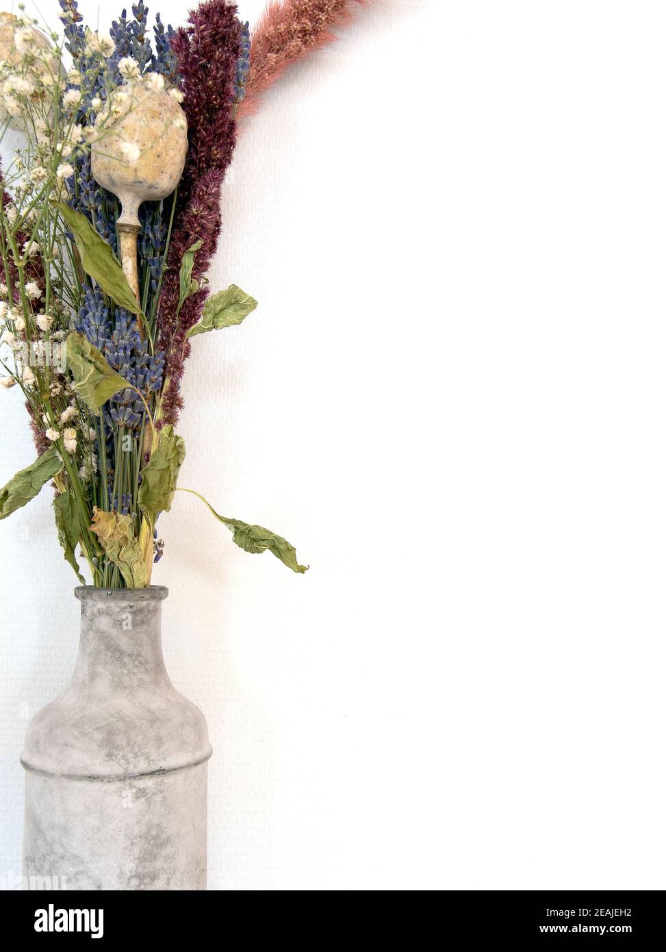 Vase en béton gris avec bouquet de fleurs séchées devant le mur blanc décoration moderne de la maison, espace copie Banque D'Images