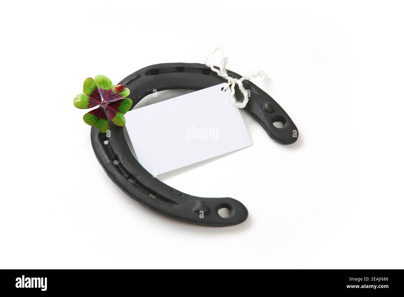 Fer à cheval avec trèfle chanceux. Trèfle à quatre feuilles avec fer à cheval sur fond blanc Banque D'Images