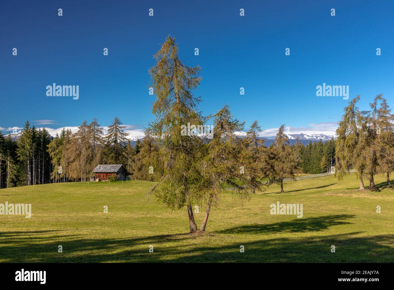 Fin de l'été sur la montagne Salten, Tyrol du Sud Banque D'Images