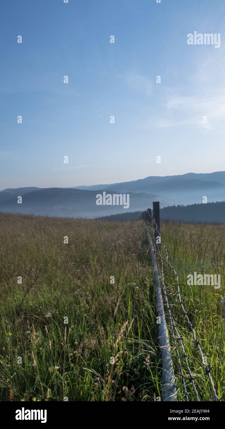 Clôture avec champ d'herbe dirigé vers les montagnes - paysage du matin De montagnes en Roumanie Banque D'Images