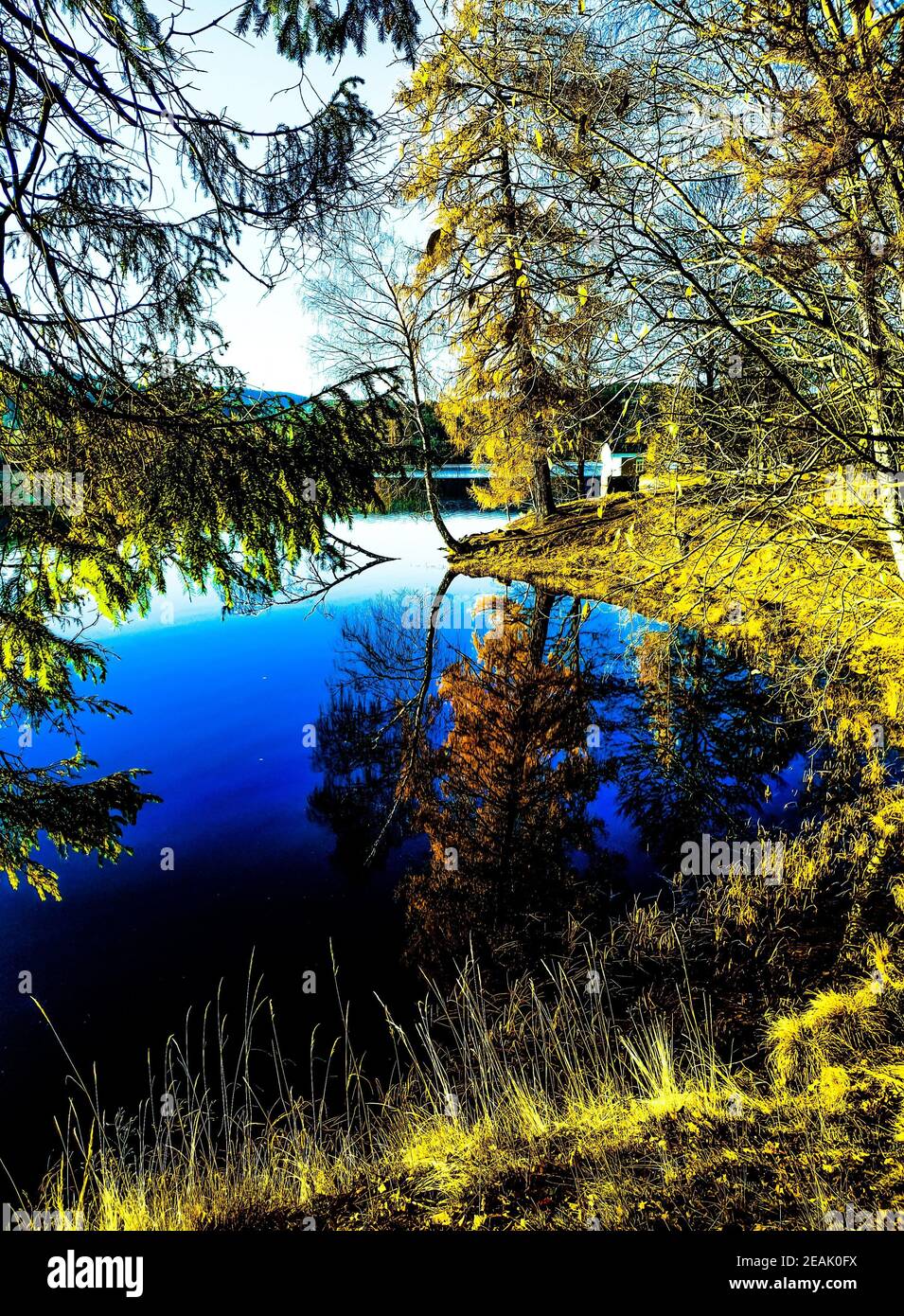 réflexion d'arbres dans l'eau bleue du lac - Bogstad GÃ¥rd Banque D'Images