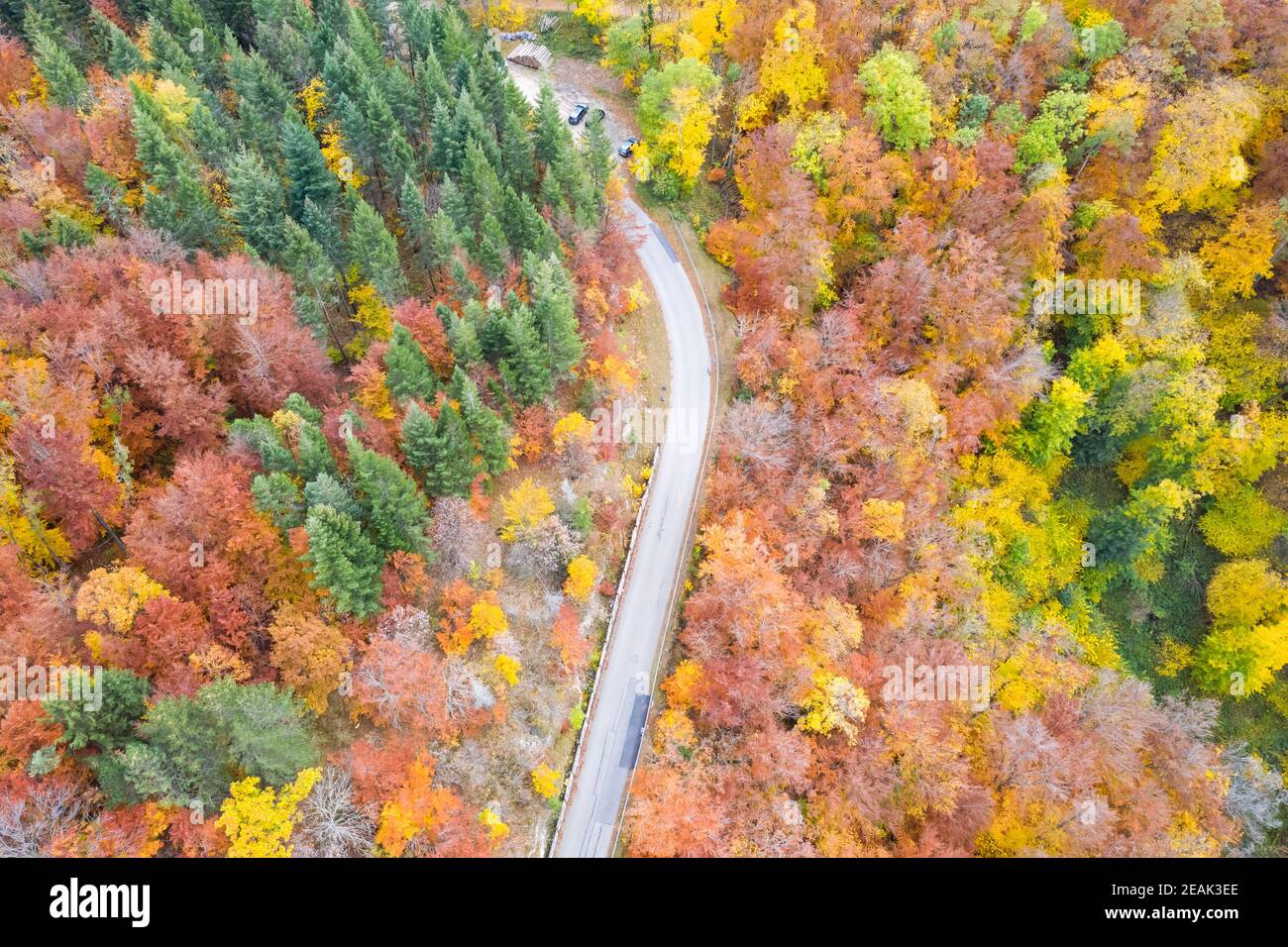 Automne forêt forêt forêt bois coloré feuilles saison vue aérienne photo route Banque D'Images