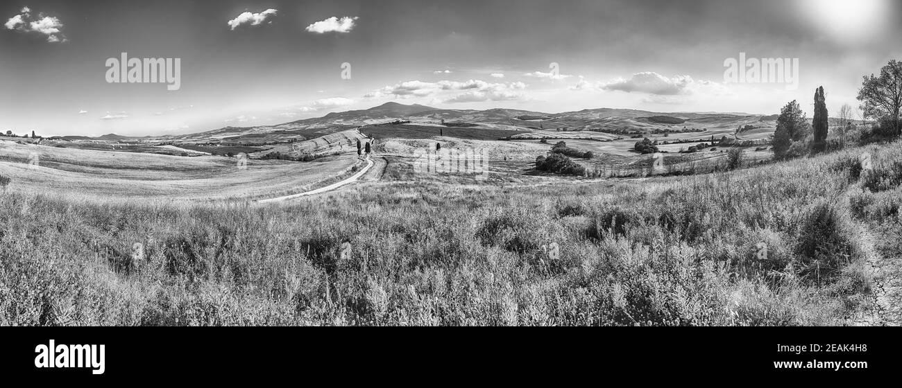 Paysage de champs secs dans la campagne en Toscane, Italie Banque D'Images