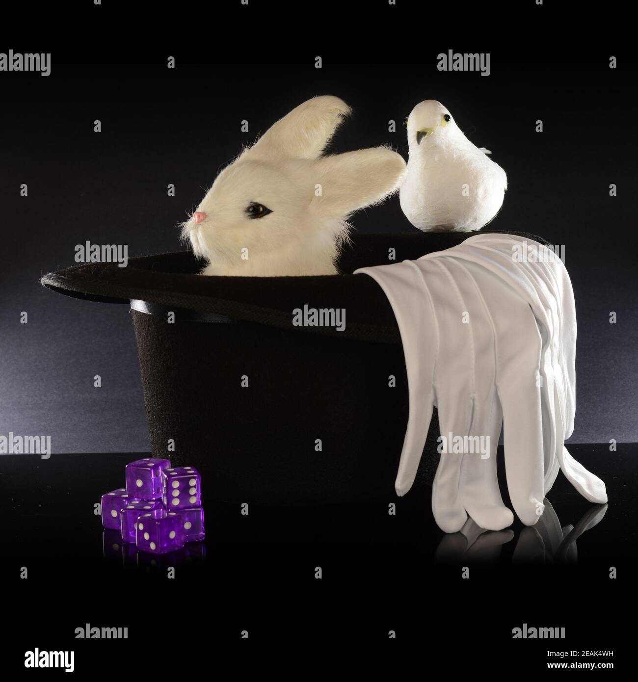 Chapeau de magicien Banque D'Images