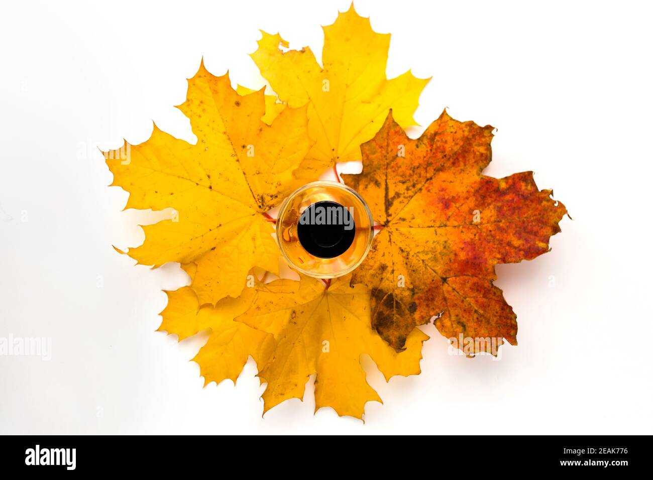 bouteille de parfum noire avec feuilles d'érable jaune et fond de différentes textures Banque D'Images bouteille de parfum noire avec feuilles d'érable jaune et fond de différentes textures Banque D'Images