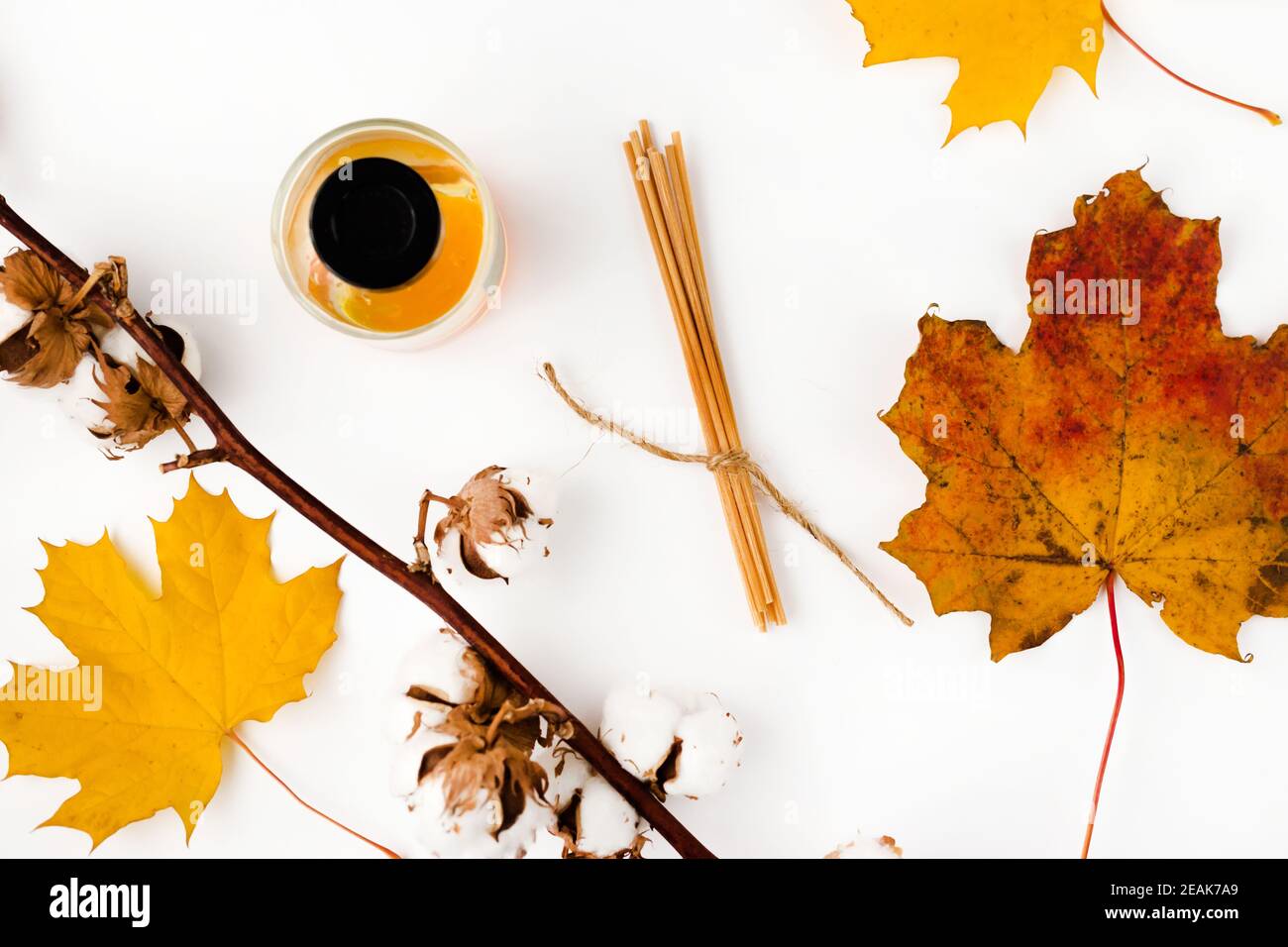Composition de la vibe d'automne. Maquette de carte de vœux vierge. Pot à parfum, feuilles d'érable colorées. Arrière-plan de table blanc. Flat lay, vue de dessus. Banque D'Images Composition de la vibe d'automne. Maquette de carte de vœux vierge. Pot à parfum, feuilles d'érable colorées. Arrière-plan de table blanc. Flat lay, vue de dessus. Banque D'Images