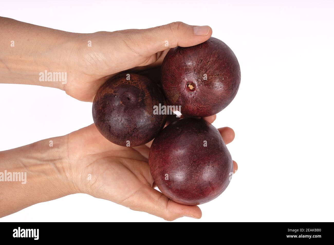 Fruits Caimito Banque D'Images