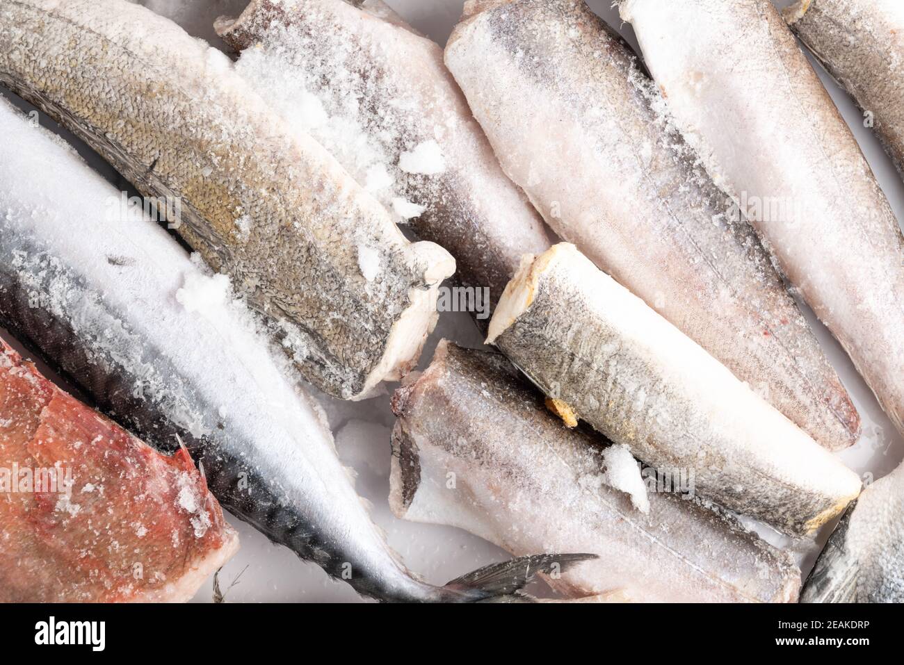 variété d'aliments marins durables congelés, poisson, crevettes, maquereau, merlu, perchaude, truite, saumon avec glace sur le marché, magasin de poisson Banque D'Images