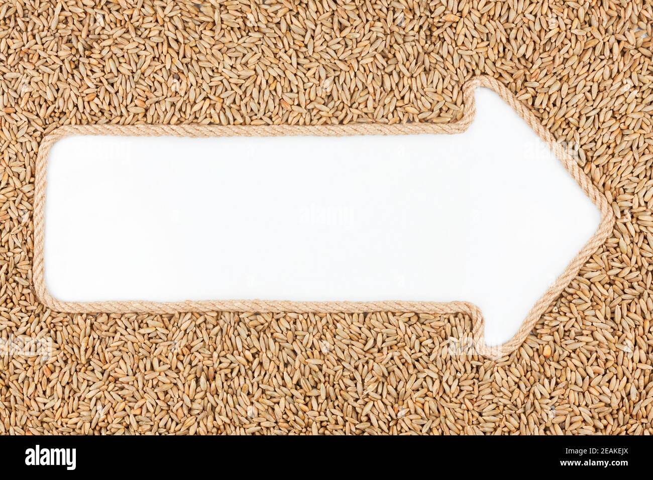 Flèche faite de corde et de seigle avec un fond blanc Banque D'Images