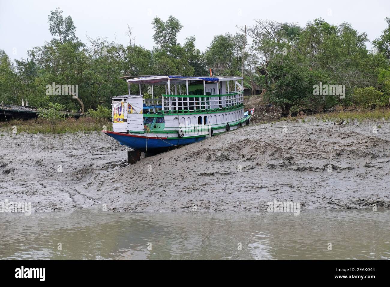 Bateau sur les berges de boue, la forêt de mangroves, Sundarbans, le delta du Ganges, Bengale occidental, Inde Banque D'Images