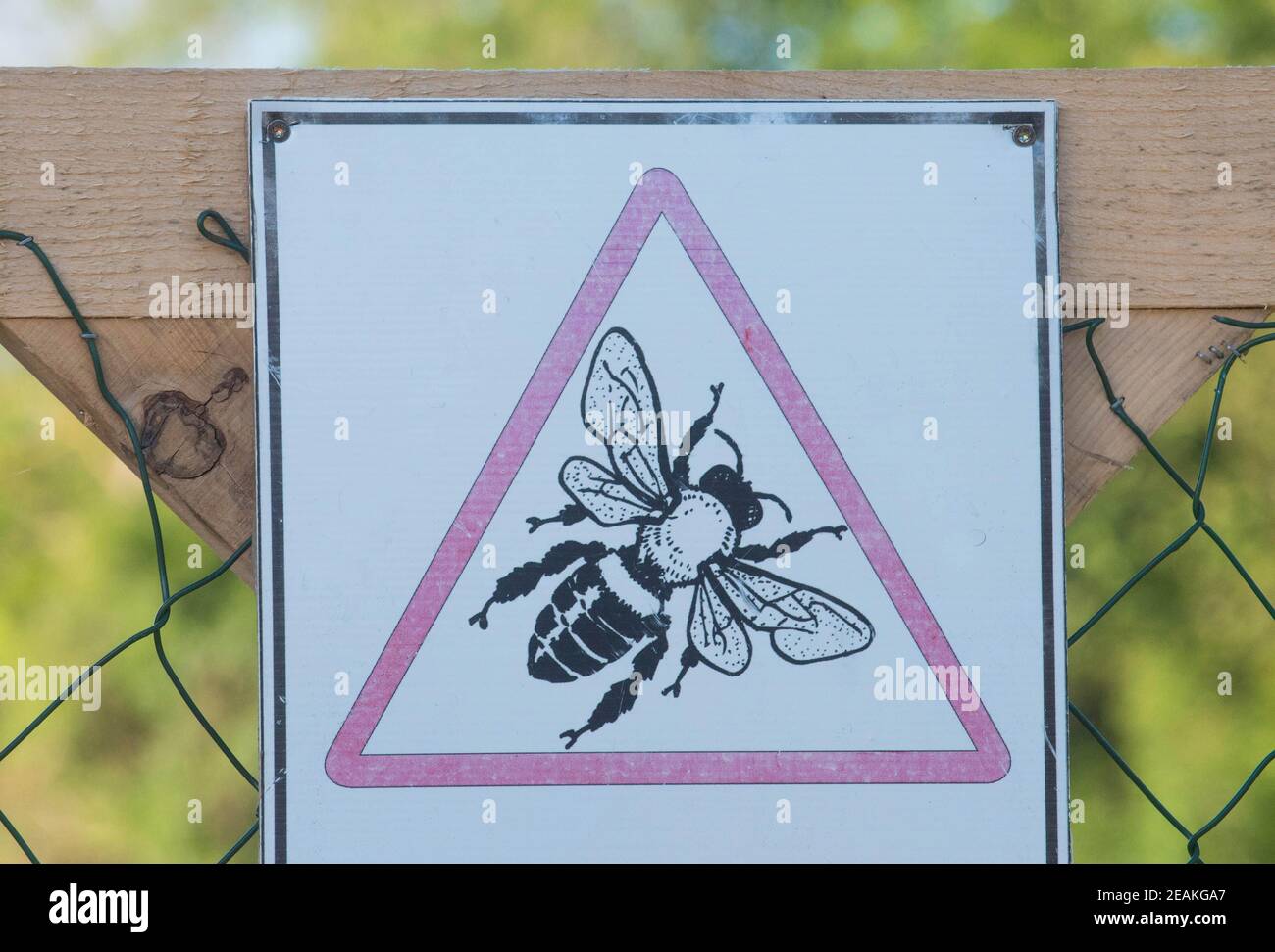 Symbole De L'abeille Dans La Bible