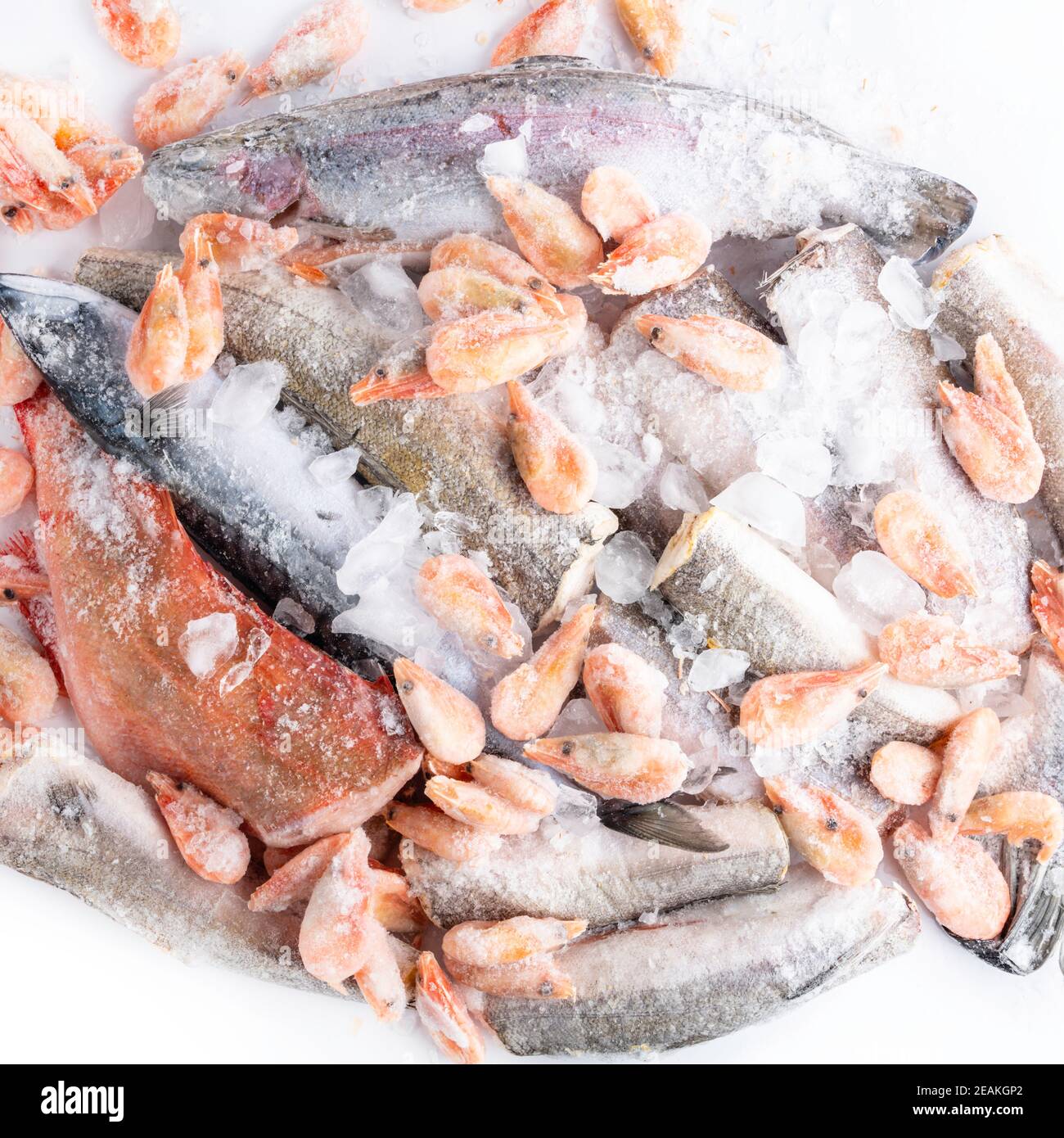 variété d'aliments marins durables congelés, poisson, crevettes, maquereau, merlu, perchaude, truite, saumon avec glace sur le marché, magasin de poisson Banque D'Images